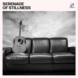Serenade of Stillness - Relaxing Acoustic Guitar