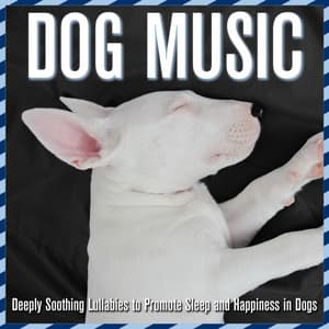 Dog Music: Deeply Soothing Lullabies to Promote Sleep and Happiness in Dogs - BabySleepDreams