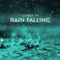 Sounds of Rain Falling: Sleep, Meditation & Anxiety - Hypnotic Therapy Music Consort
