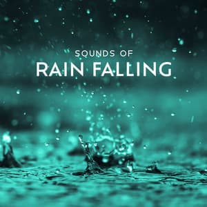 Sounds of Rain Falling: Sleep, Meditation & Anxiety - Hypnotic Therapy Music Consort