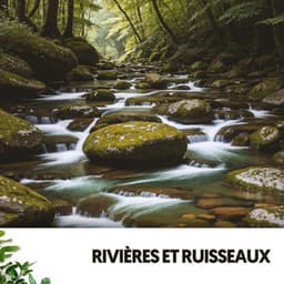 Rivières et Ruisseaux : Voyage Aquatique vers la Sérénité - Rivers and Streams