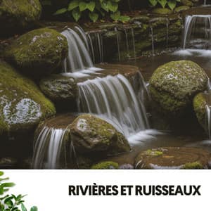 Rivières et Ruisseaux : Mélodies de la Tempête - Cat Music Therapy