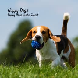 Happy Dogs: Puppy Paws in the Forest - Forest Sounds FX