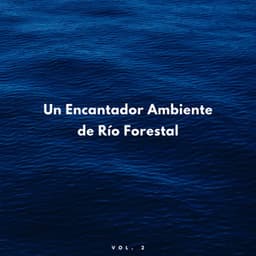 Un Encantador Ambiente De Río Forestal Vol. 2 - Corrientes de sueños