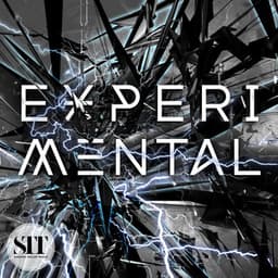 Experimental - Udi Harpaz