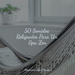 50 Sonidos Relajantes Para Un Spa Zen - MÚSICA PARA NIÑOS