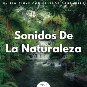 Sonidos De La Naturaleza: Un Río Fluye Con Pájaros Cantantes Vol. 1 - Sonidos de aguas tranquilas