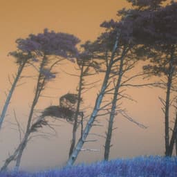 Music for Cool Celebration - Relaxing Jazz Music