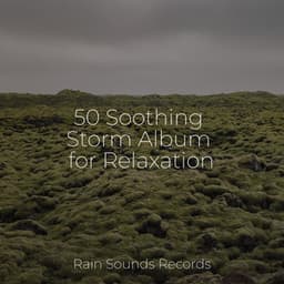 50 Soothing Storm Album for Relaxation - Spa & Spa