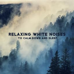 Relaxing White Noises to Calm Down and Sleep - Keith Noise