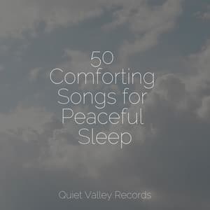 50 Comforting Songs for Peaceful Sleep - Rain