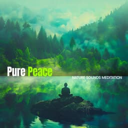 Pure Peace - Nature Sounds Meditation