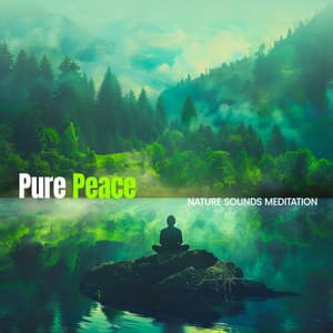 Pure Peace - Nature Sounds Meditation