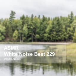 White Noise ASMR Best 229 - White Noise