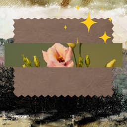 Backdrop for Lazy Chairs - Sultry Latin Music - Brazilian Jazz Deluxe