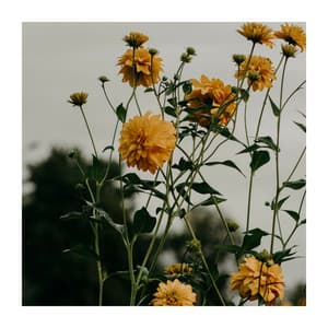 Achieve Everything You Deserve - Pilates Workout Academy