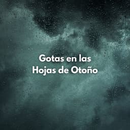 Gotas En Las Hojas De Otoño - Lluvia para Dormir ASMR