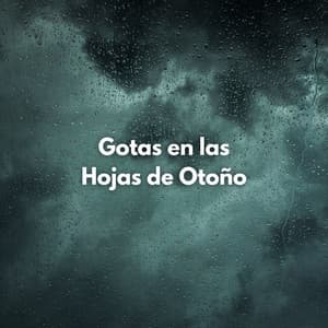 Gotas En Las Hojas De Otoño - Lluvia para Dormir ASMR
