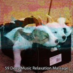 59 Deep Music Relaxation Massage - Sleep Help