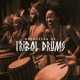 Orchestra of Tribal Drums - Ethnic Sounds World