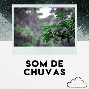 Som De Chuvas - Som Da Chuva