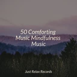 50 Comforting Music Mindfulness Music - Sleep Baby Sleep