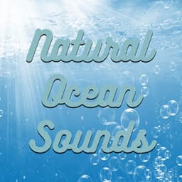 Natural Ocean Sounds - Calm Ocean Sounds