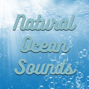 Natural Ocean Sounds - Calm Ocean Sounds