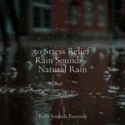 50 Stress Relief Rain Sounds - Natural Rain - Pro Sound Effects Library