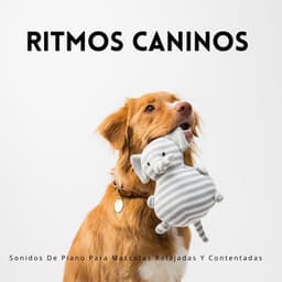Melodías Suaves: Sonidos De Piano Para Mascotas Relajadas Y Contentadas - Animales de piano