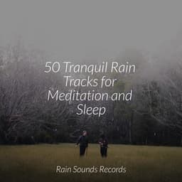 50 Tranquil Rain Tracks for Meditation and Sleep - Calming Sounds