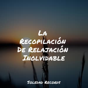 La Recopilación De Relajación Inolvidable - Música a Relajarse