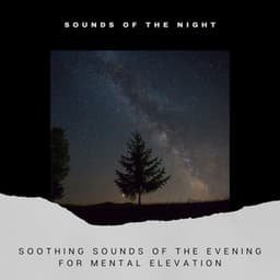 Soothing Sounds of the Evening for Mental Elevation - Sounds of the Night