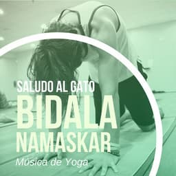 Saludo al Gato Bidala Namaskar: Música de Yoga - New Age Relajación Science