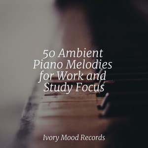 50 Ambient Piano Melodies for Work and Study Focus - Ivory Mood