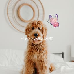 ペットとの最高の時間 - Soft Jazz Romance