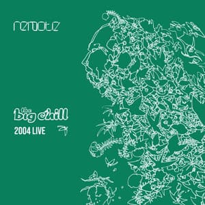 Remote: The Big Chill 2004 Live - Roger Eno