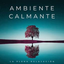 Ambiente Calmante: La Plena Relajación - Zona de Música Sexual