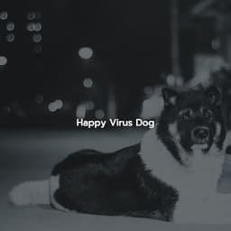 Happy Virus Dog - Música Suave para Cafe