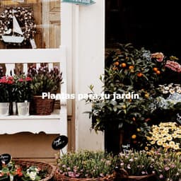 Plantas para tu jardín - Happy Coffee Shop Music