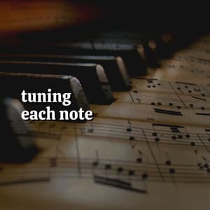 Tuning Each Note - Study Music and Piano Music