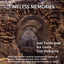 Timeless Memories - Joel Futterman