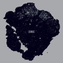 What One Becomes - Sumac