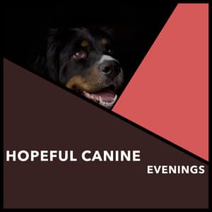 Hopeful Canine Evenings - Dogs Music Therapy