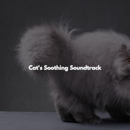 Cat's Soothing Soundtrack - Jazz Ambiente