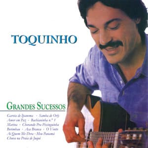 Grandes Sucessos - Toquinho