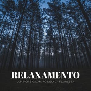 Relaxamento: Uma Noite Calma No Meio Da Floresta - Música de Relaxamento No Spa