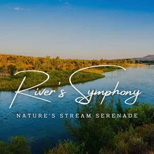 River's Symphony: Nature's Stream Serenade - Water Science