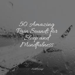50 Amazing Rain Sounds for Sleep and Mindfulness - White Noise Sound Garden