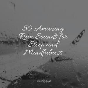 50 Amazing Rain Sounds for Sleep and Mindfulness - White Noise Sound Garden
